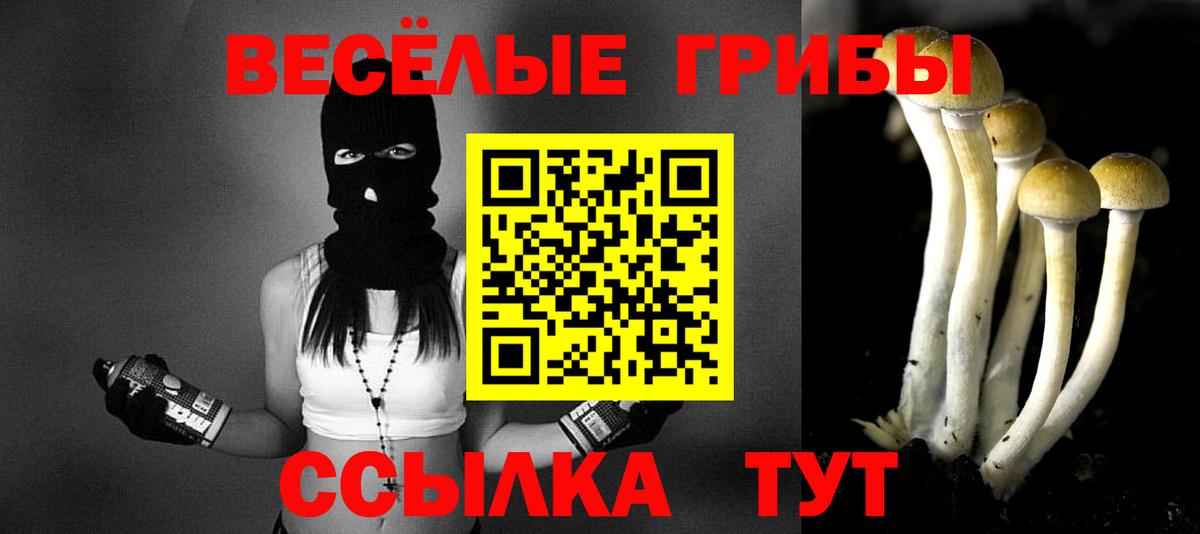 Галлюциногенные грибы Psilocybe Можга