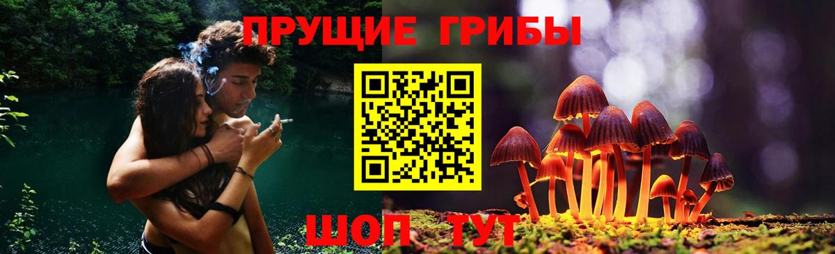 Можга  где купить наркоту  Вход с VPN  Галлюциногенные грибы мухоморы 